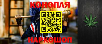 гидропоника Новозыбков