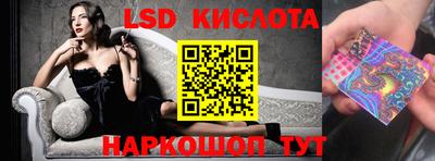 гидропоника Новозыбков