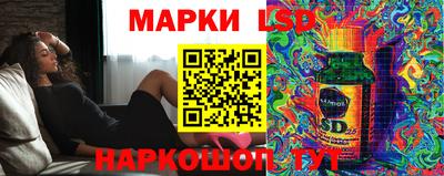 гидропоника Новозыбков