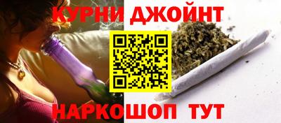сатива Новодвинск