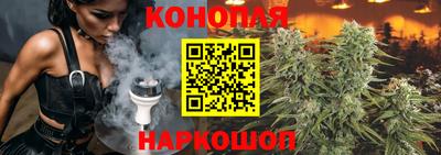 a pvp Новокубанск