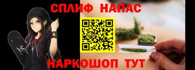 сатива Новодвинск