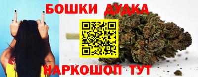 сатива Новодвинск