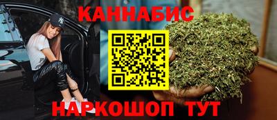 сатива Новодвинск
