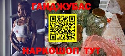 гидропоника Новозыбков