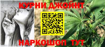 сатива Новодвинск