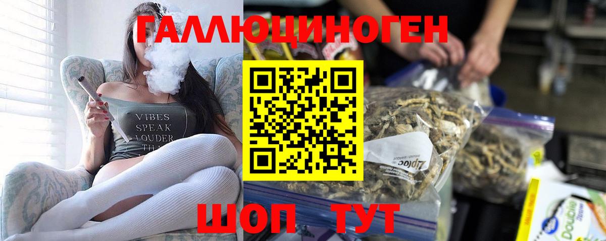 Галлюциногенные грибы Magic Shrooms  Вход с VPN  Тверь  Псилоцибиновые грибы Psilocybe 